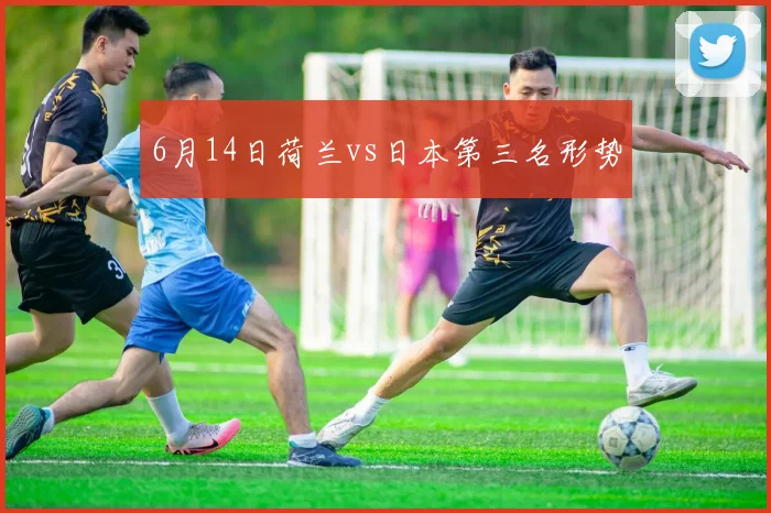 6月14日荷兰vs日本第三名形势