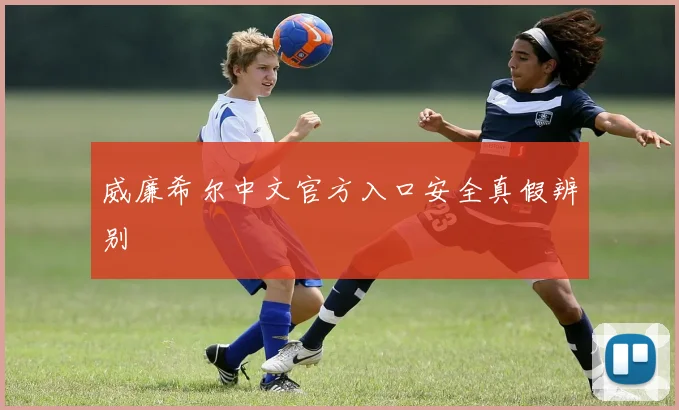 威廉希尔中文官方入口安全真假辨别
