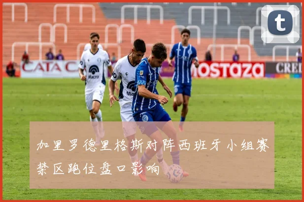 加里罗德里格斯对阵西班牙小组赛禁区跑位盘口影响