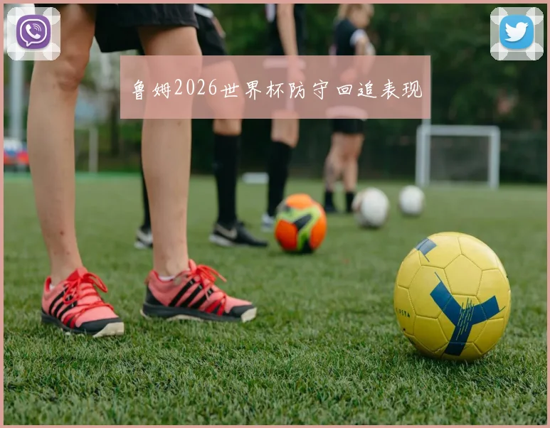 鲁姆2026世界杯防守回追表现